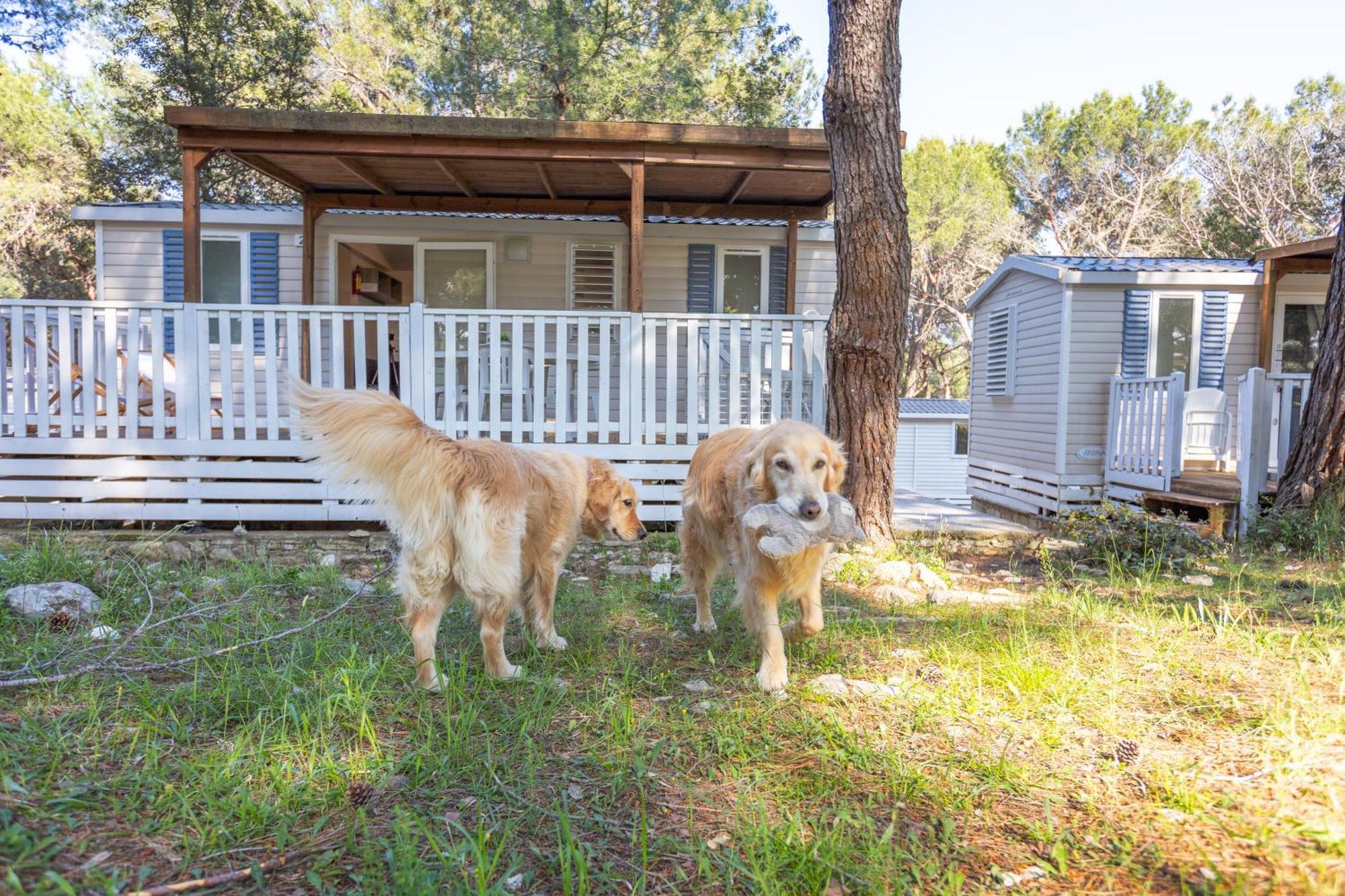 Mobile Homes Pine Sea Banjole Exterior foto